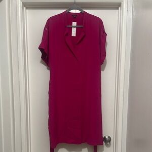 Ann Taylor Magenta Dress